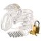 CB-6000s Short Male Chastity Kit