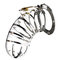 Male Chastity Internal Spike Fence Cage