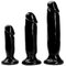 Rascal Initiation Dildo Anal Kit