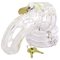 The Curve Male Chastity Cage Kit