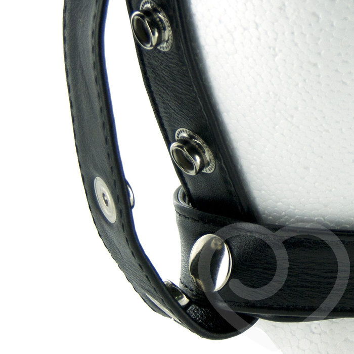 Not Dildo head harness Opinion you Dildo head harness phrase