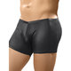 Male Power Shiny Spandex Trunk Shorts
