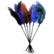 Sportsheets Ostrich Feather Tickler
