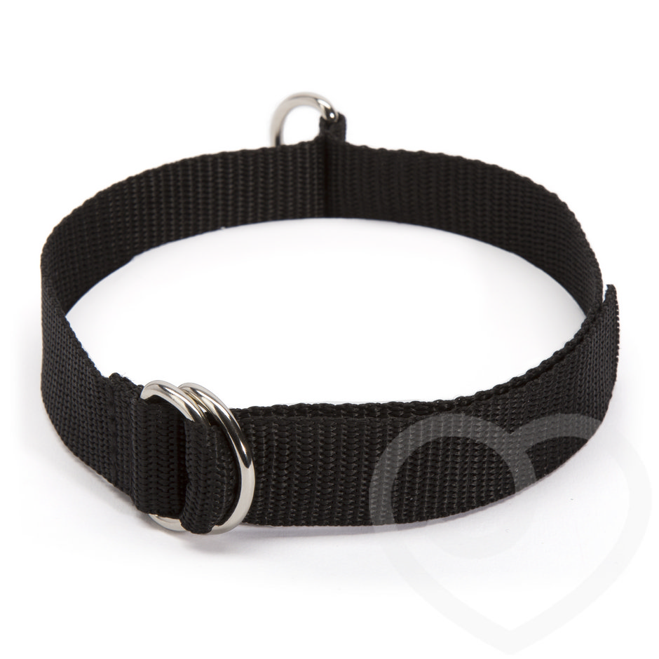 Lovehoney BASICS Bondage Collar & Lead Lovehoney