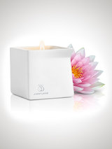 Jimmyjane Afterglow Massage Candle Pink Lotus 128g
