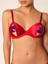 Coco de Mer - Love in a Mist Bra - Cherry & Fuchsia