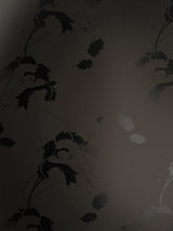 Paper Voyeur Warm Black Erotic Art Wallpaper