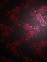 Paper Voyeur Liquorice Cherry Erotic Art Wallpaper