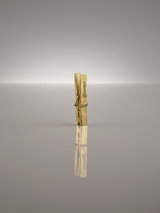 Coco de Mer Gold Plated Pleasure/Pain Peg Clamp