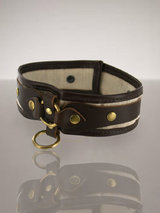 Coco de Mer Canvas and Leather Collar
