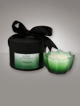DL & Co Hemlock Ombre Collection Scented Candle 285g
