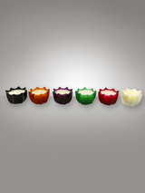 DL & Co Scented Candle Gift Set (6 Pack)