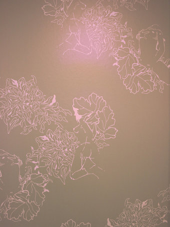 Paper Voyeur Champagne Erotic Art Wallpaper