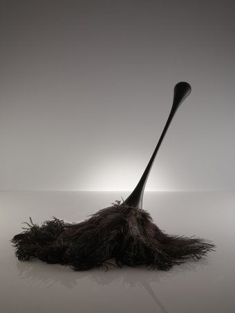 Unfaithful Ostrich Feather Duster by Nika Zupanc