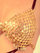 Coco de Mer Gold Plated Pleasure Pain Body