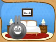 Rabbit Image