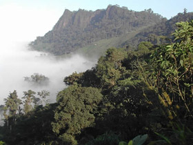 The Tapichalaca reserve in Ecuador