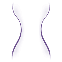 Hourglass Body Shape