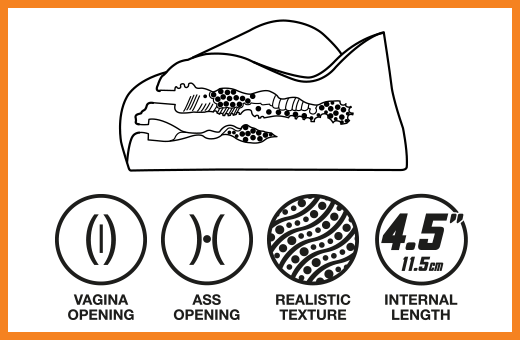 Vagina and ass opening, realistic texture, 4.5 inch length