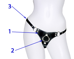 Strap-on Guide
