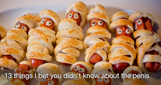 13 things I bet you didn't know about the penis