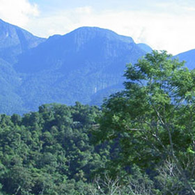 The terrace of the World Land Trust's Bird Lodge at the REGUA (Brazil) project provides a perfect spot for looking out over the Atlantic Rainforest whilst sipping a caiperinha made from freshly picked lime.
