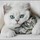 CatCrazy