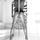 Leg Avenue Wide Net Tights with French Knickers Top