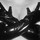 Fever Patent Unisex Black Gloves