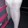 Music Legs Opaque White Hold Up Stockings