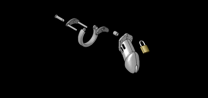 CB-6000 Male Chastity Kit
