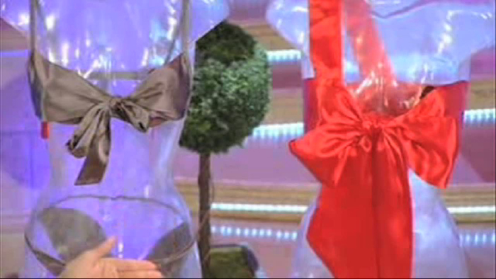 Julie Peasgood On The Alan Titchmarsh Show