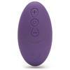 Desire Luxury Rechargeable Remote Control Love Egg Vibrator