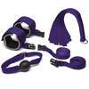 Purple Reins Beginners Bondage Kit (4 Piece)