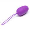Lovehoney Remote Control Love Egg Vibrator