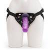 BASICS Strap-On Harness Kit with 2 Dildos