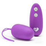 Lovehoney Thrill Seeker Remote Control Vibrating Love Egg