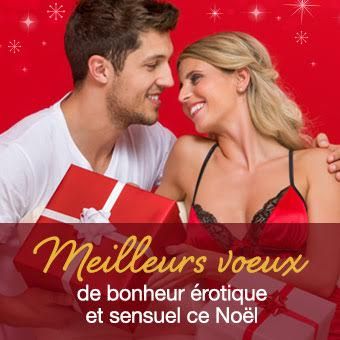 Meilleurs voeux 2015 FR