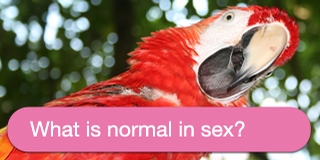 What is normal in sex?